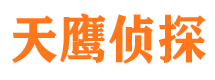 平武市侦探调查公司